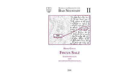 Buchcover Fiscus Salz
