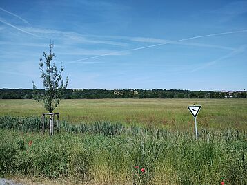 Landschaft Saalewiesen